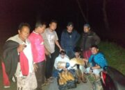 3 Tersangka Ditangkap, 23 Kg Ganja Diamankan