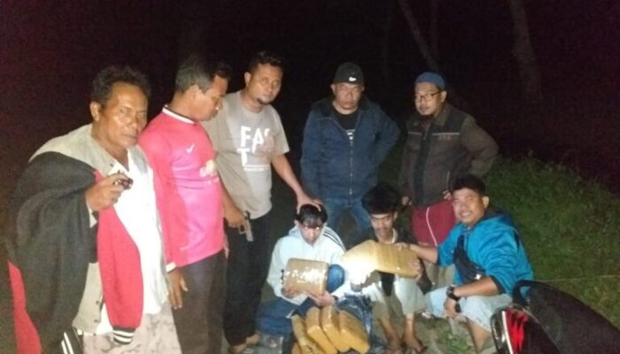 3 Tersangka Ditangkap, 23 Kg Ganja Diamankan
