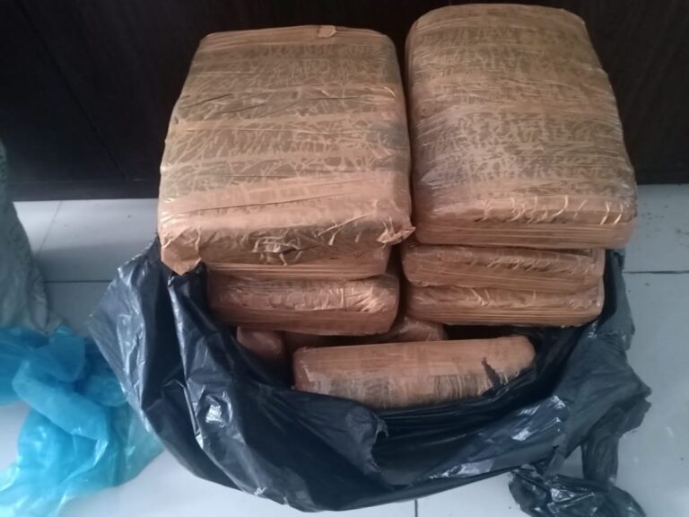 3 Tersangka Ditangkap, 23 Kg Ganja Diamankan 3 Tersangka Ditangkap, 23 Kg Ganja Diamankan