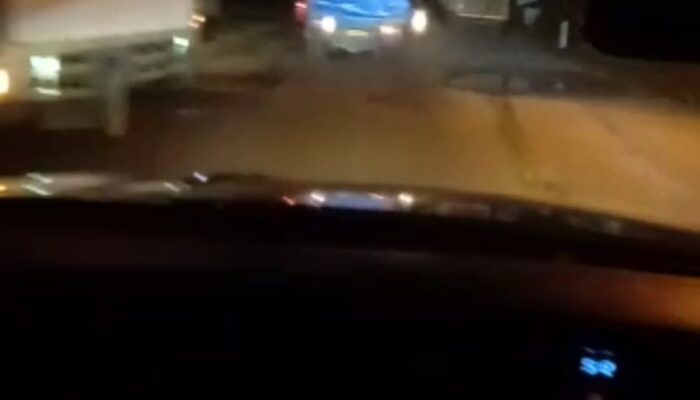 Aparat Diminta Tindak Tegas Pengangkutan Kayu Dari Mosa Tapsel