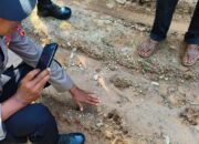 Jejak Harimau Meluas Di Aceh Timur