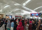 Arus Penumpang Umrah Membludak