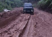 Aseng Naga: Illegal Logging Di Mosa Tapsel Dibekingi Oknum Aparat