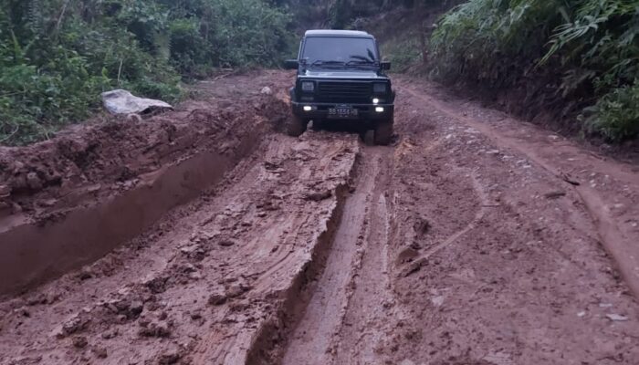 Aseng Naga: Illegal Logging Di Mosa Tapsel Dibekingi Oknum Aparat