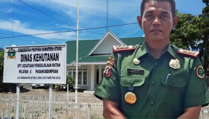 Illegal Logging Di Tapsel, Izin PT. PLS Habis Tapi Tidak Dicabut