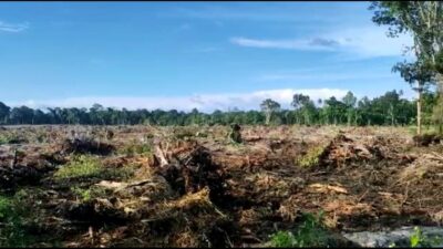 PT. Raja Marga Simeulue Dituding Serobot Lahan PDKS
