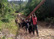 Sinergi PLN Dengan Pemda, PLN Realisasi Listrik Desa Sebanyak 3 Kabupaten Di Sumut