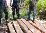 TNI Dan HMB Temukan Aktivitas Illegal Logging Di Mosa Tapsel
