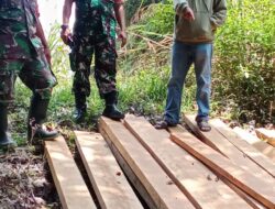 TNI Dan HMB Temukan Aktivitas Illegal Logging Di Mosa Tapsel