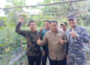 Kadistanpan Simeulue Perkenalkan Program Pekarangan Pangan