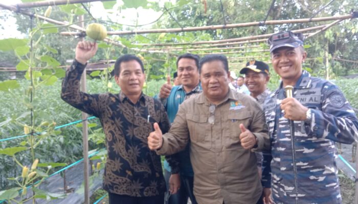 Kadistanpan Simeulue Perkenalkan Program Pekarangan Pangan
