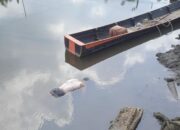 Warga Temukan Sesosok Mayat Laki-laki Di Alur Kuala Langsa