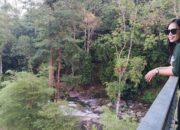 CHINT, Pionir di Industri Infrastruktur Listrik, Memimpin Pengembangan Data Center Yang Canggih dan Solusi Carbon-Netural CHINT