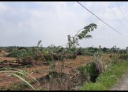 PTPN-2: Lahan HGU Nomor 103 Kebun Bulu Cina Diduga Diperjualbelikan