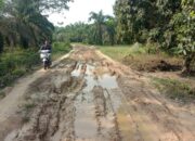 Ruas Jalan Perkampungan Di Aceh Tamiang Butuh Pengaspalan