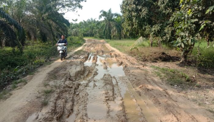 Ruas Jalan Perkampungan Di Aceh Tamiang Butuh Pengaspalan