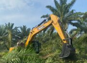 Terkait Dugaan Jual Beli Lahan Kebun Bulu Cina, PTPN-2 Laporkan Ke Kejatisu