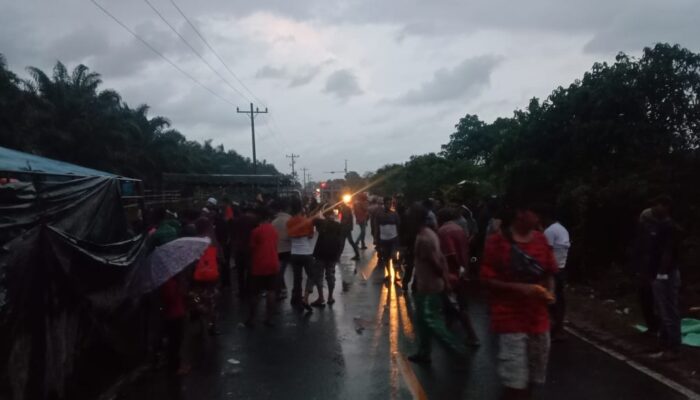 Massa Portal PT RPR, Nginap Di Areal Kebun