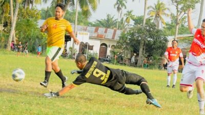 Gol Darma Wijaya Dan Adlin Tambunan Ungguli Apdesi Sei Rampah