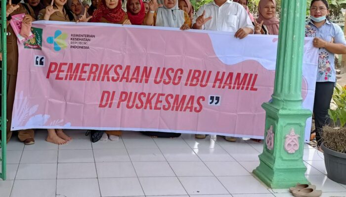 Puskesmas Tangkahan Durian Periksa Ibu Hamil 