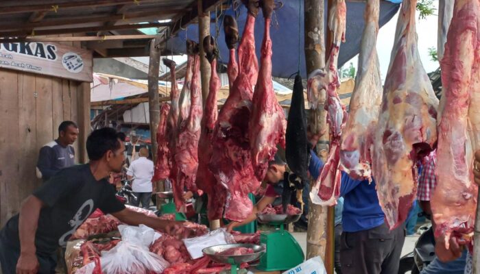 Harga Daging Meugang Di Aceh Timur Normal