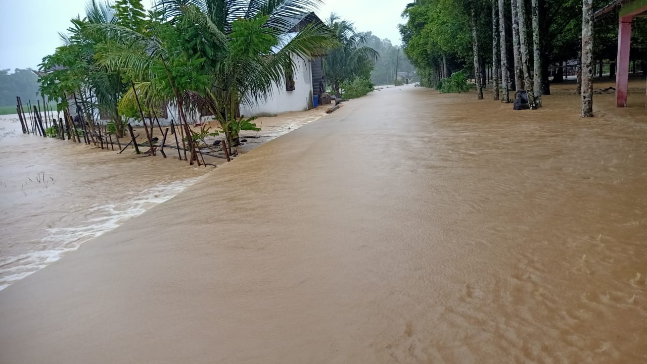 Direndam Banjir,<br>Petani Tangan-tangan Abdya Terancam Gagal Panen Direndam Banjir,<br>Petani Tangan-tangan Abdya Terancam Gagal Panen