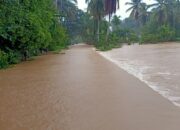 Direndam Banjir,Petani Tangan-tangan Abdya Terancam Gagal Panen
