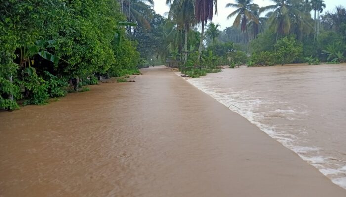 Direndam Banjir,<br>Petani Tangan-tangan Abdya Terancam Gagal Panen