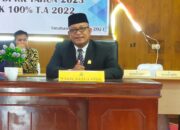 Wakil Ketua DPRK Simeulue Minta PLN Profesional