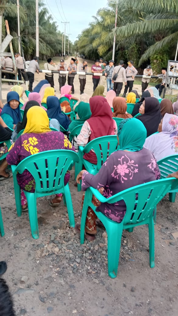 Omak-omak Gagalkan Panen TBS Di Areal PT RPR