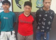 Gerebek Sarang Narkoba Di Lahan Garapan, Tiga Pengedar Diciduk