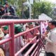 HMI Cabang Medan: Program Berobat Gratis Pakai KTP Bobby Nasution Bagus