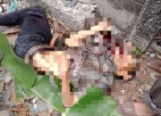 Pejalan Kaki Tewas Tersambar Kereta Api Di Medan Labuhan