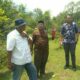 Prof. Ir. Rudyono (baju putih bertopi) dan Ketua Puskud Aceh, Ir. Haziman Razali (baju batik) di lokasi lahan tanaman jagung di Jantho Aceh Besar. (Waspada/T.Zakaria)