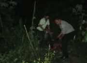 Ngertiken Tewas Dimassa, Rumah Orang Tua Ketua DPD IPK Langkat Dirusak