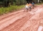 Jalan Tabuyung Rusak Parah, Warga Mengadu Ke Bupati