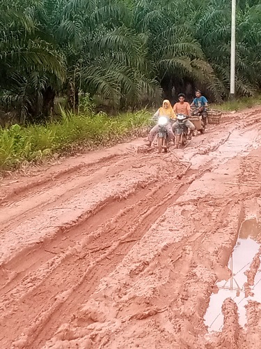 Jalan rusak parah di Desa Tabuyung, Kec. Muara Batang Gadis, Kab. Madina. Waspada.id/Irham Hagabean Nasution