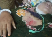 Janda Umur 30-an Diduga Korban Pembunuhan, Tersangka Belum Ditemukan