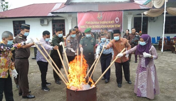 Kejari Palas Musnahkan 197,99 Gram Sabu Dan 2.682,74 Gram Ganja