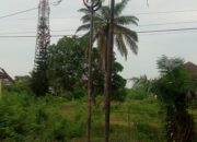 Tak Ada Perawatan, Eks Perumahan Karyawan Pertamina RU II Bagaikan Hutan Belukar