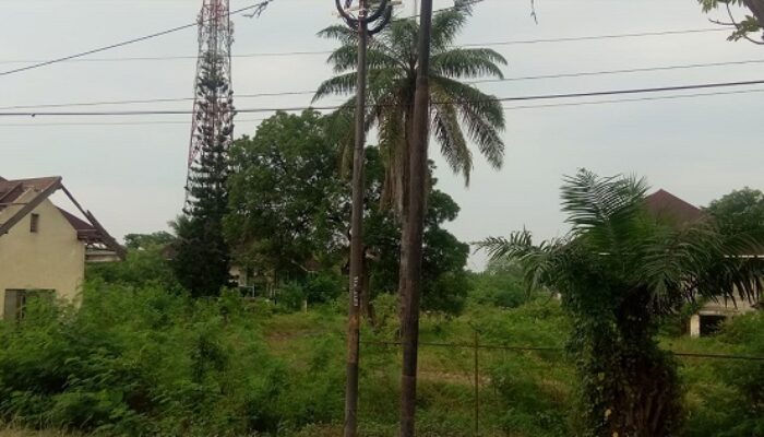 Tak Ada Perawatan, Eks Perumahan Karyawan Pertamina RU II Bagaikan Hutan Belukar