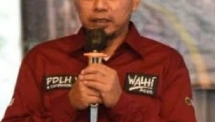 Walhi: Hentikan Produksi Perusahaan Tanpa Alat Sparing Di Aceh Singkil