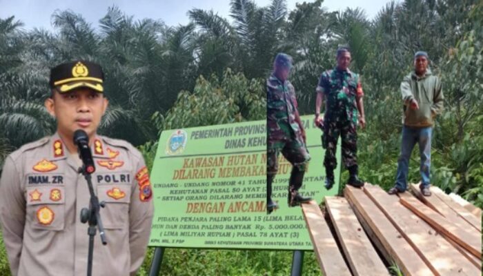 Kapolres Tapsel: Sikat Illegal Logging Waka: Jangan-Jangan Maling Teriak Maling