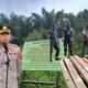 Kapolres Tapsel AKBP Imam Zamroni tegaskan seluruh aktivitas illegal logging di wilayah hukumnya akan disikat habis. (Waspada/Ist)