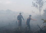 Puluhan Hektar Lahan PT DM Di Singkil Utara Terbakar
