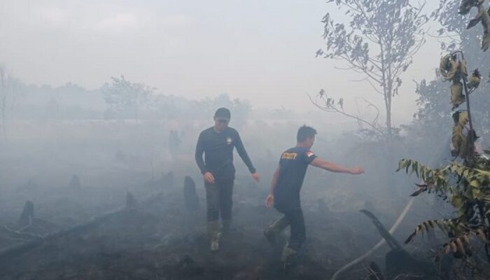 Puluhan Hektar Lahan PT DM Di Singkil Utara Terbakar
