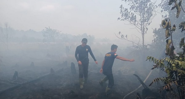 Petugas keamanan PT DM terlihat sedang berjibaku memadamkan api akibat kebakaran lahan sejak Jumat hingga, Minggu (20/3). WASPADA/Ariefh