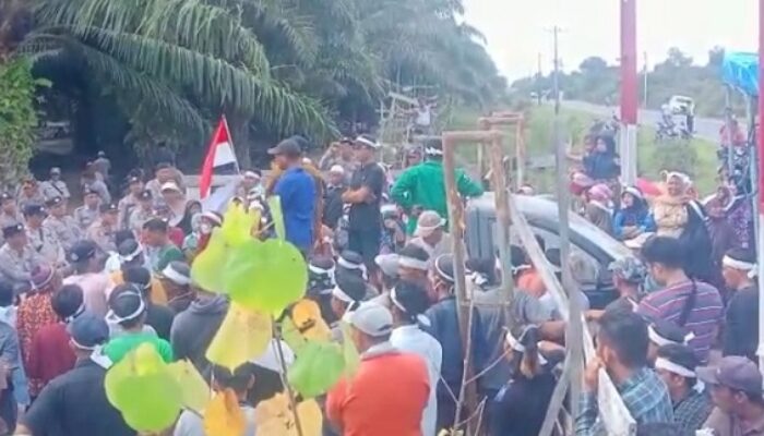 371 Petani Singkuang I<br>‘Serbu’ Areal PT RPR