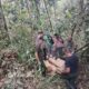 Tim gabungan temukan barang bukti illegal logging di Mosa Tapsel. Waspada/Ist