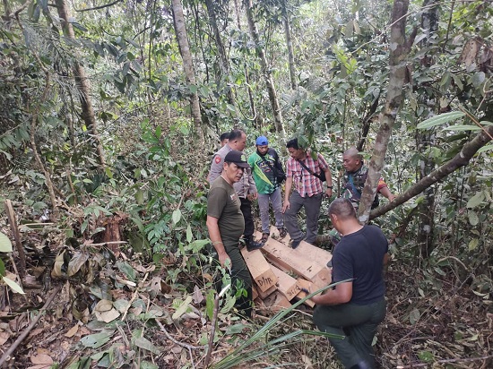 Tim gabungan temukan barang bukti illegal logging di Mosa Tapsel. Waspada/Ist